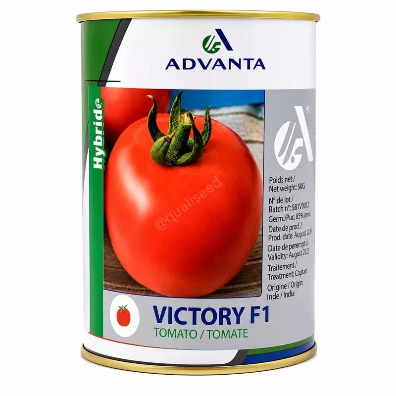 TOMATO VICTORY F1