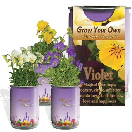 Violet (Viola) Flower Growing Kit