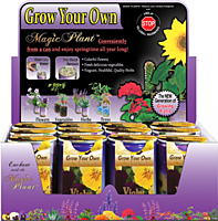 Violet (Viola) Flower Growing Kit