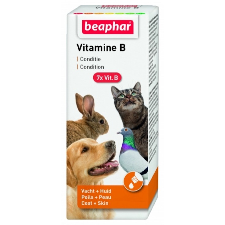BEAPHAR VITAMIN B COMPLEX - 50 ML BEAPHAR VITAMIN B COMPLEX - 50 ML