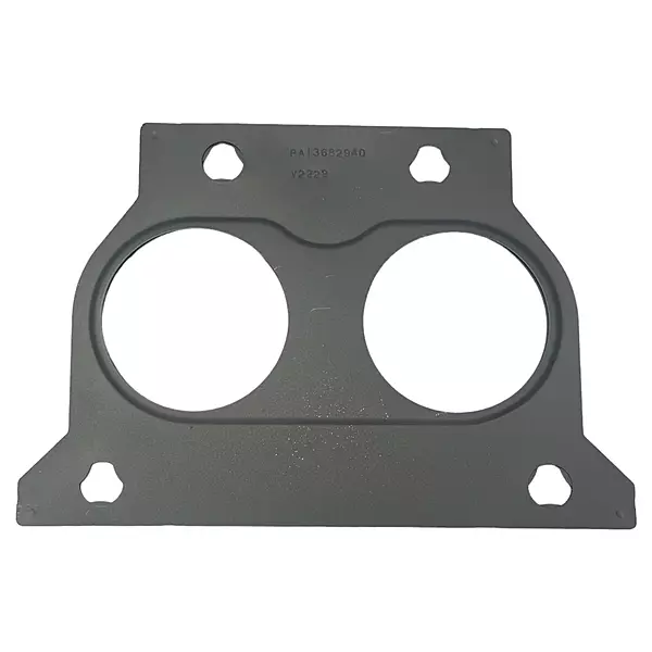 Exhaust Manifold Gasket