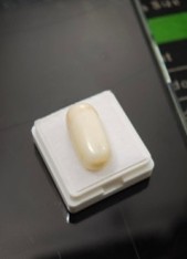 White Coral