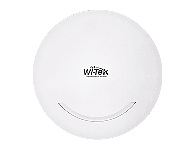 WI-AP216 Access Point
