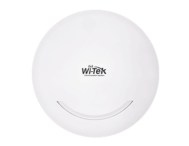 WI-AP216 Access Point