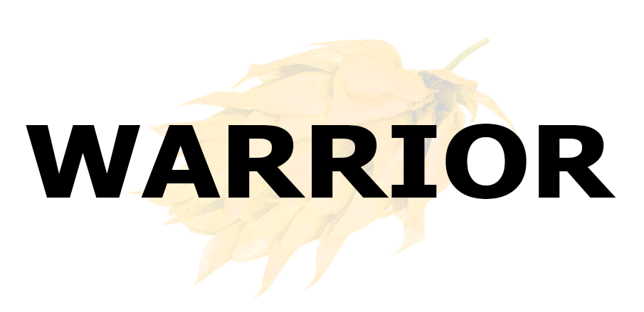 WARRIOR