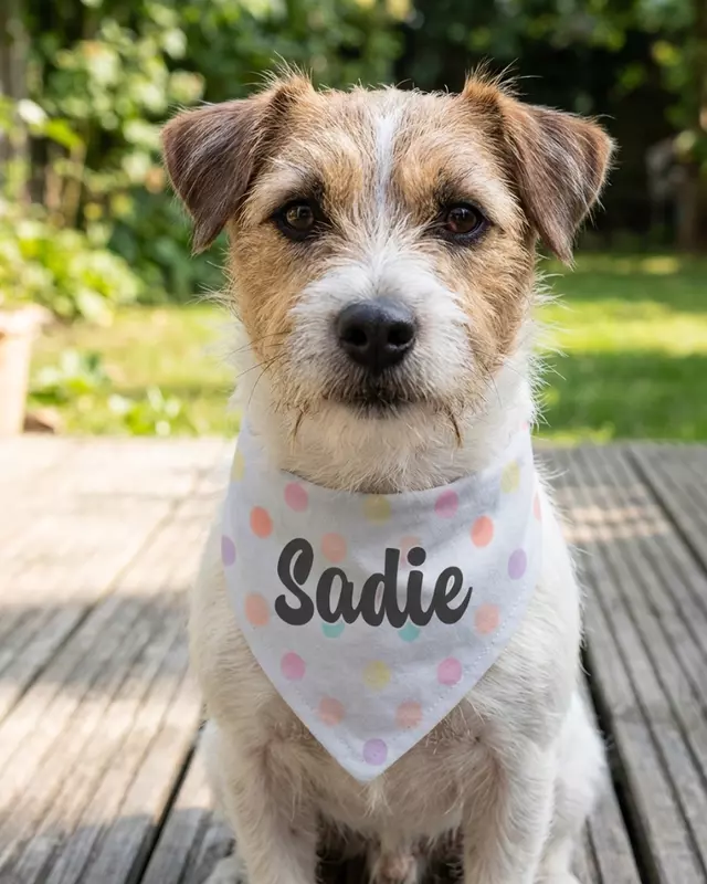 Everyday Style Series Pet Bandana
