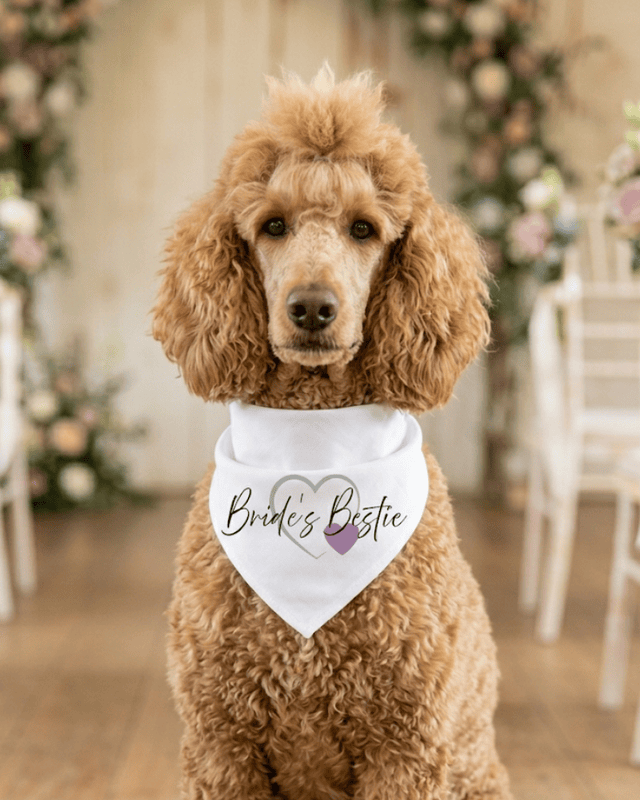 Signature Collection Wedding Bandana