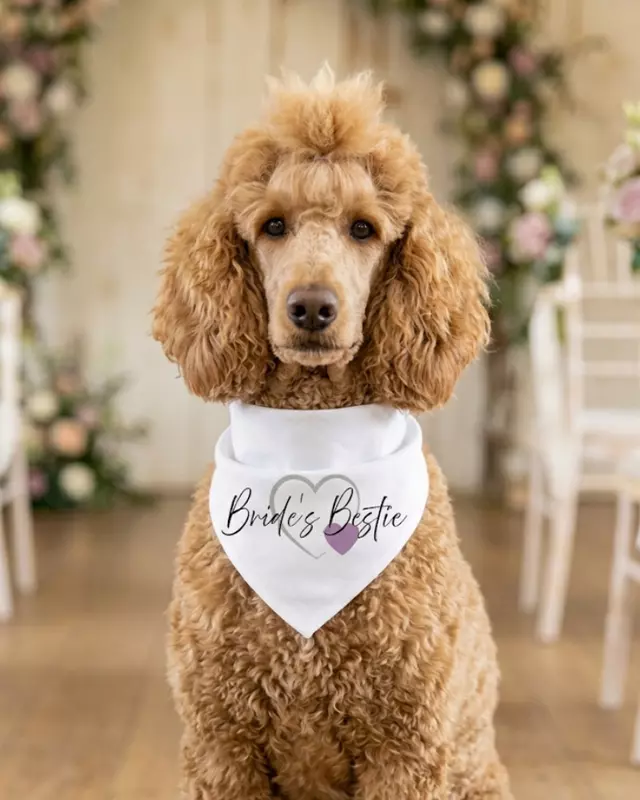 Signature Collection Wedding Bandana