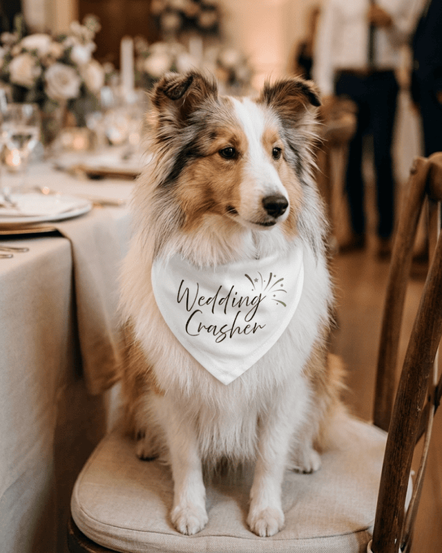 Signature Collection Wedding Bandana