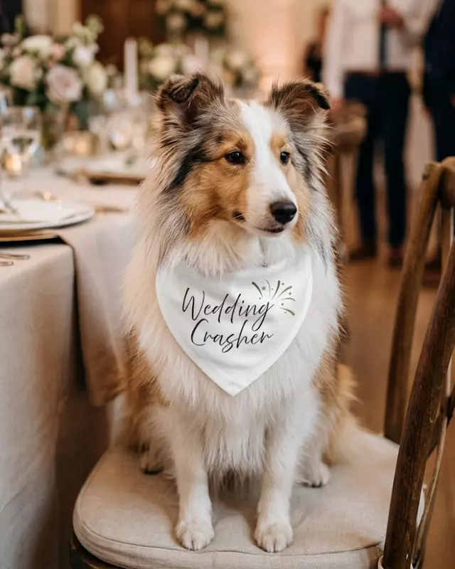 Signature Collection Wedding Bandana