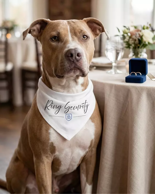 Signature Collection Wedding Bandana