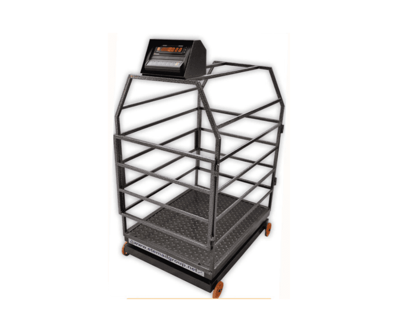 Weigh Scale for Small Livestock WIC