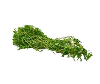 Welpenela (200gm)