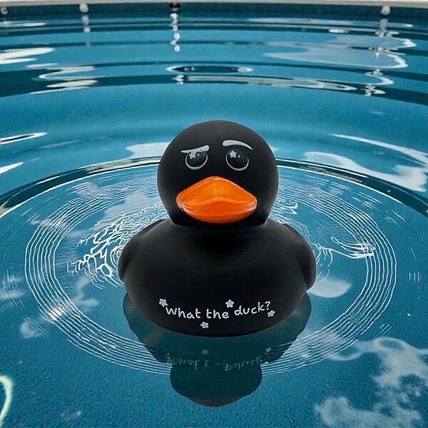Rubber Duck- What the Duck