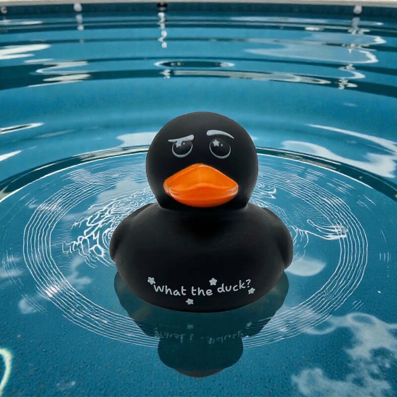 Rubber Duck- What the Duck