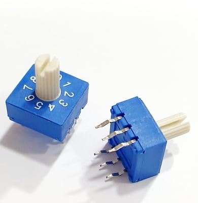 Through hole Rotary / SMD DIP Switch - 10 Position Shaft Type