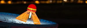 SPEEDMINTON® FUN SET