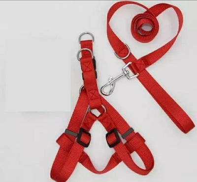 Saas pet harness ADJ Small