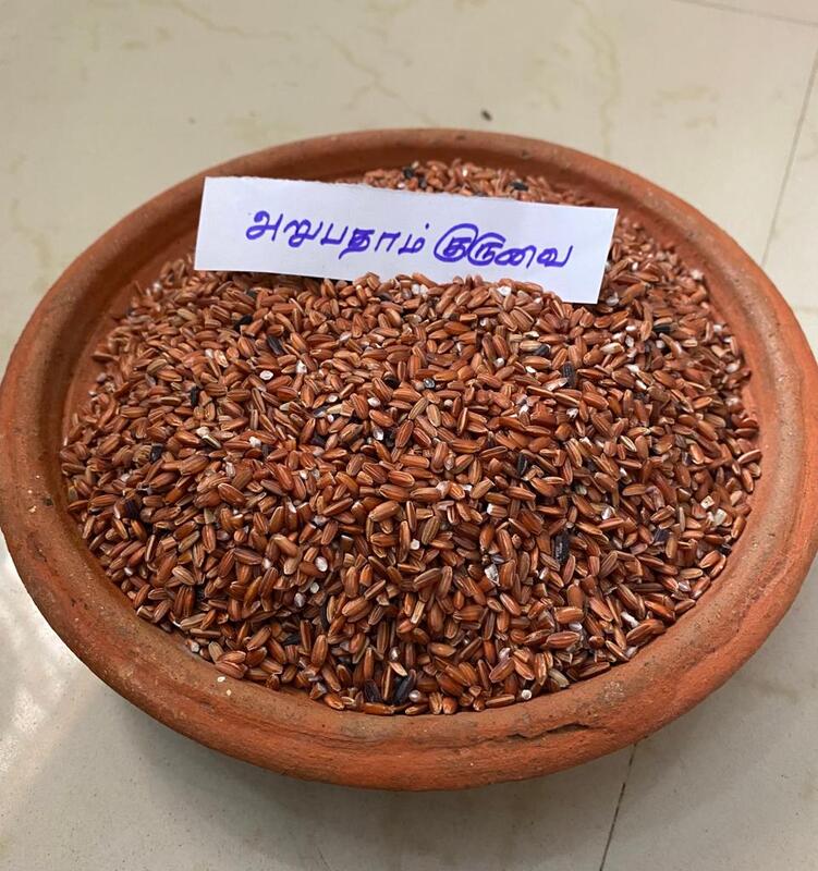 Aruvatham Kuruvai 500 g | அறுபதாங்குறுவை 500 g