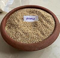 SAAMAI LITTLE MILLET 1KG (சாமை | 1 Kg)