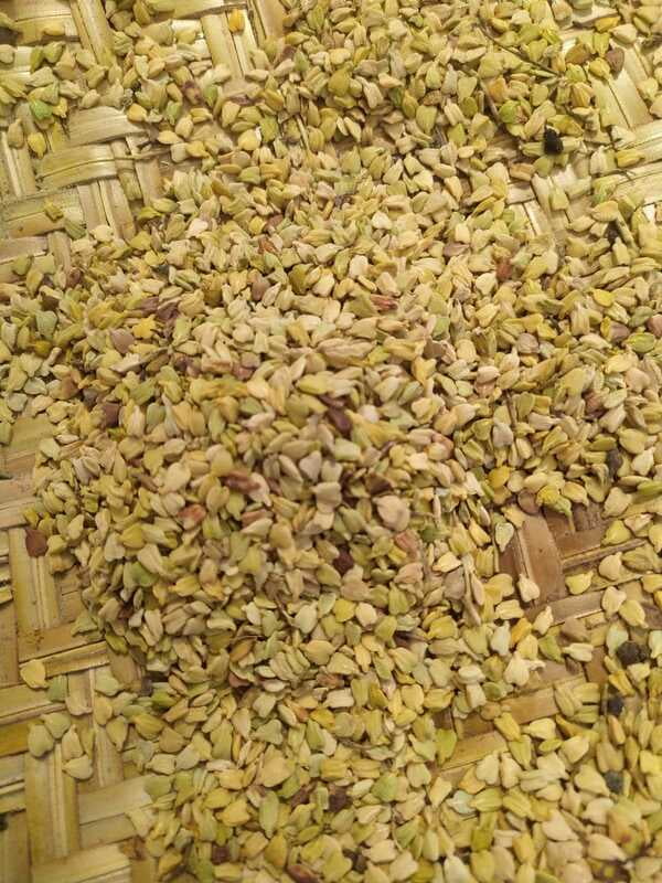 அவுரி மர விதை | Avuri Tree Seed