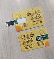 Card Shape Pendrive