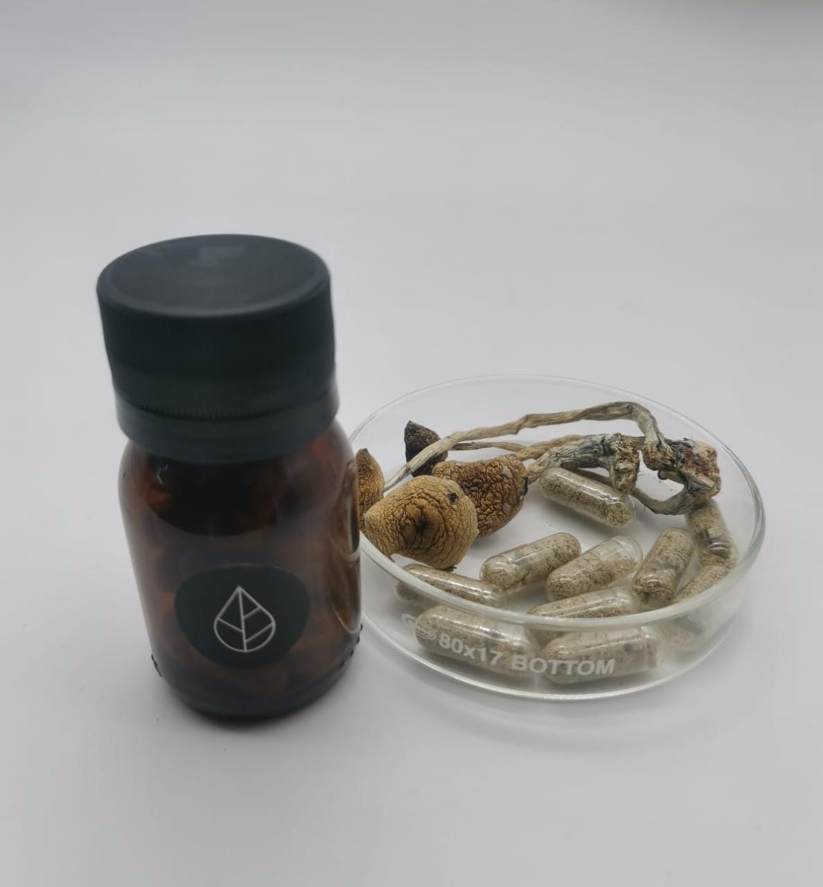Cápsulas Tratamiento con Psilocybe Cubensis Golden Teacher Divinorum