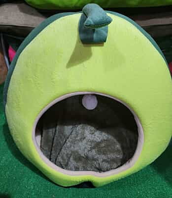 ROOF HOUSE WITH CUSHION GREEN ROOF HOUSE WITH CUSHION GREEN