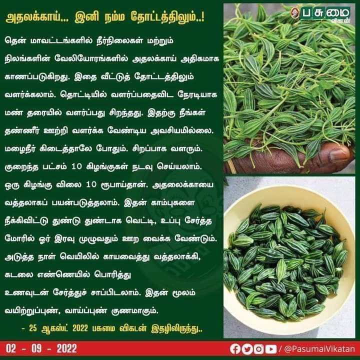 Athalaikai