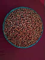 RED SOLAM 1KG (சிகப்பு சோளம்  | 1 Kg)