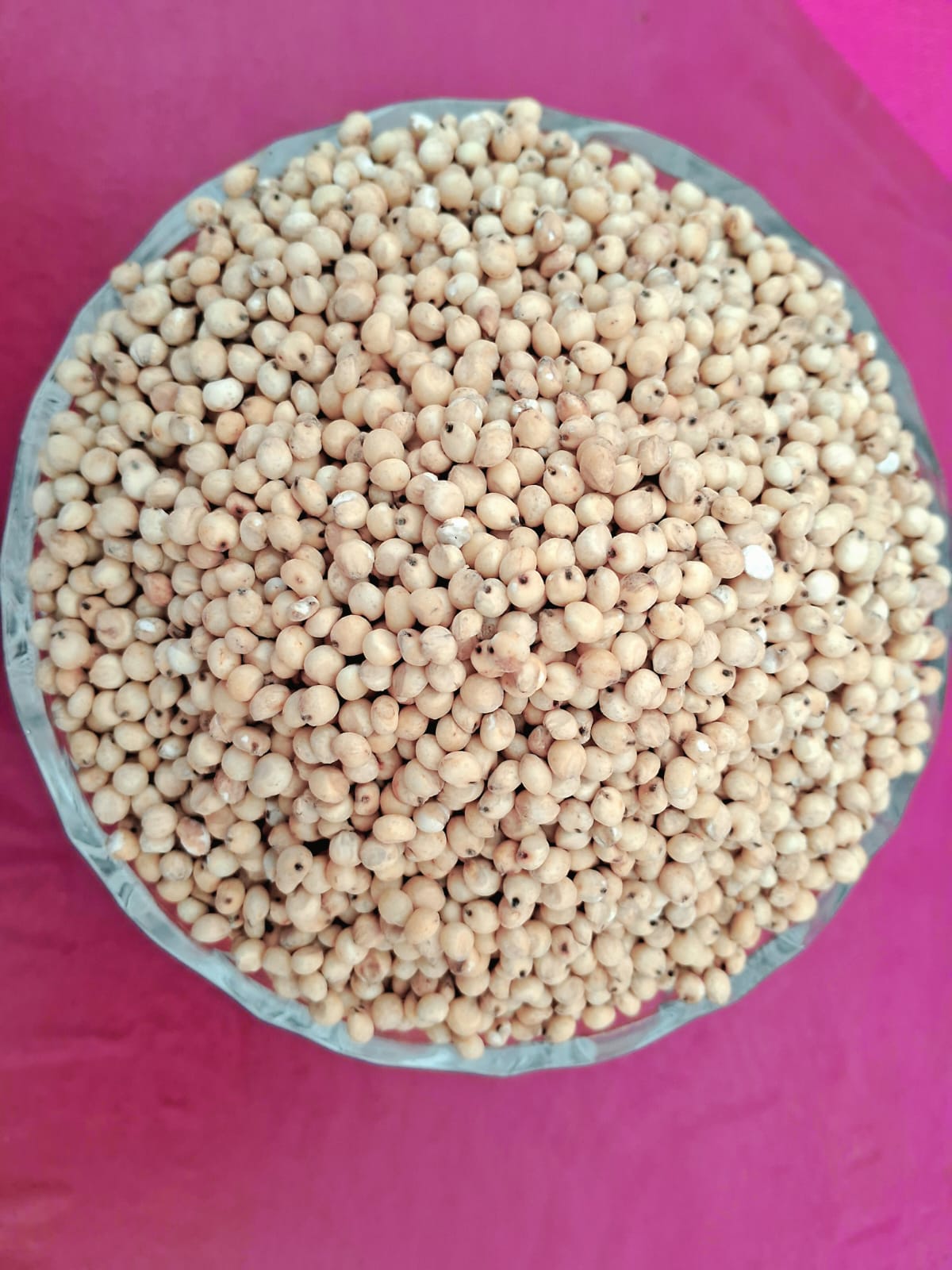 WHITE SOLAM 1KG (வெள்ளை சோளம்  | 1 Kg)