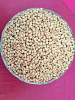 WHITE SOLAM 1KG (வெள்ளை சோளம் | 1 Kg)