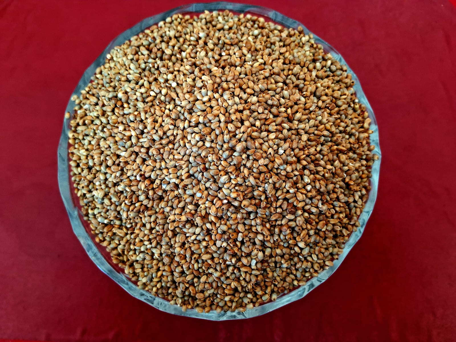 Kambu | Pearl Millet  (நாட்டு கம்பு | 1 Kg)