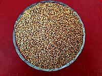 Kambu | Pearl Millet (நாட்டு கம்பு | 1 Kg)