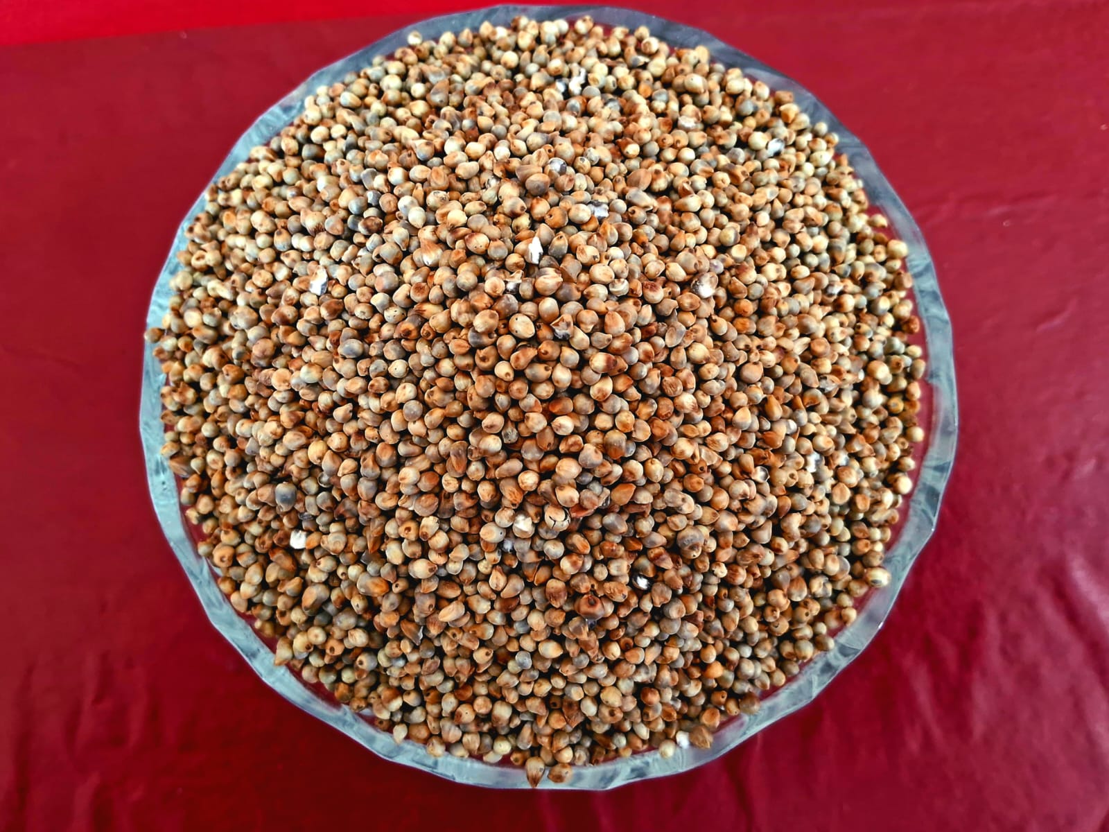 PEARL  KAMBU 1KG   ( குண்டு கம்பு | 1 Kg)