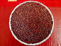 RAGI 1KG (ராகி | கேழ்வரகு | 1 Kg)
