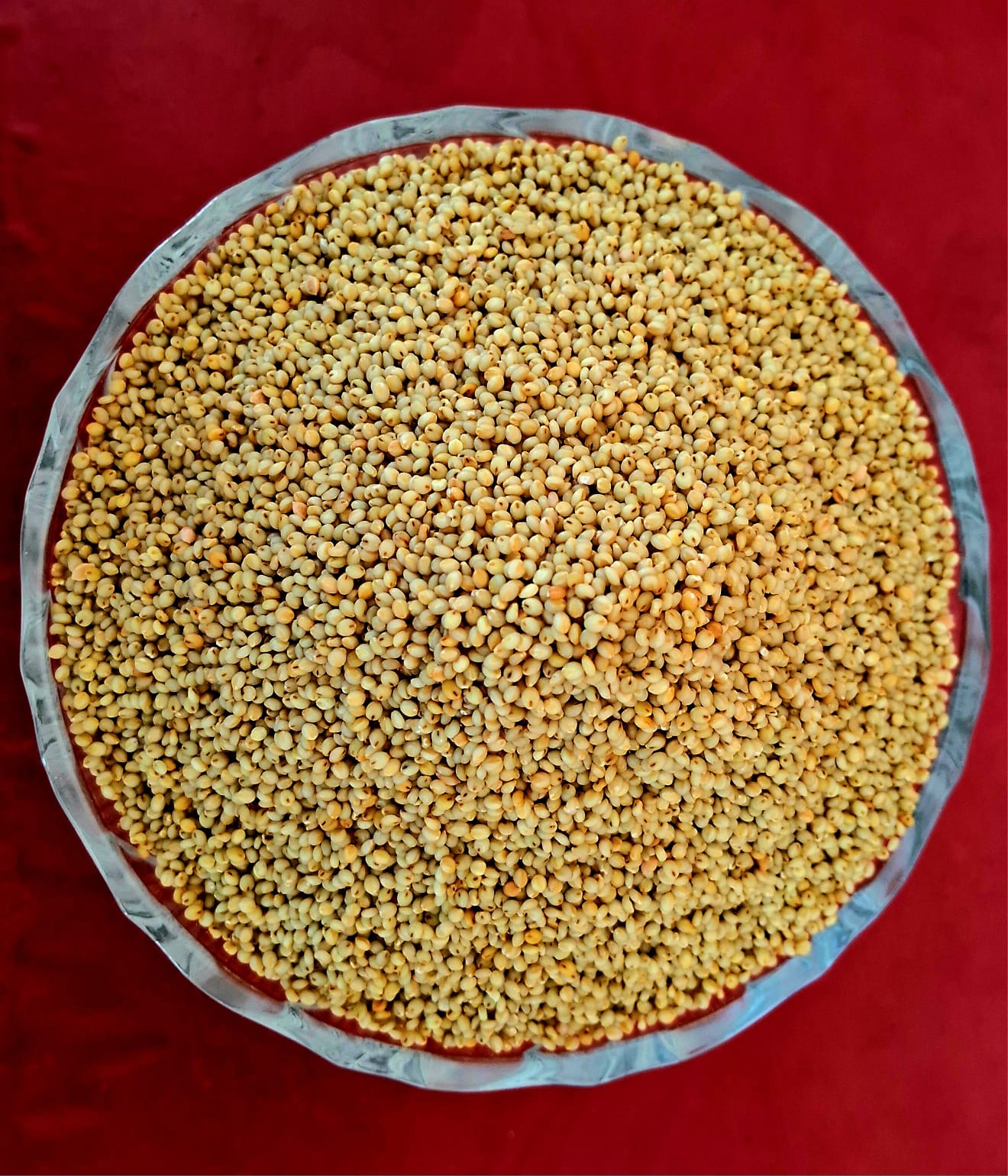 குல சாமை 500G l Browntop Millet 500G