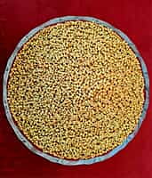 குல சாமை 500G l Browntop Millet 500G