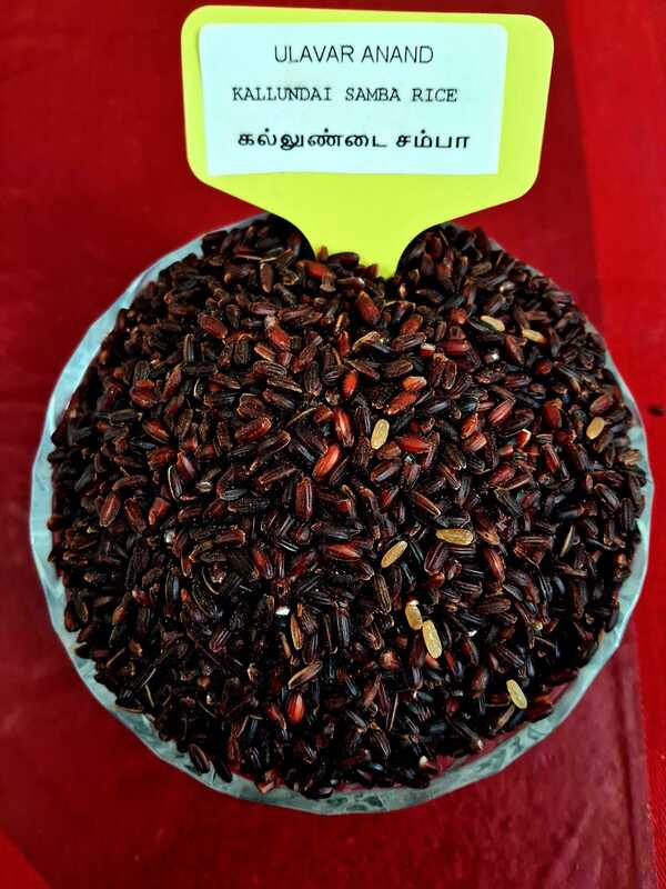 KALLUNDAI SAMBA RICE  1 KG | கல்லுண்டை சம்பா