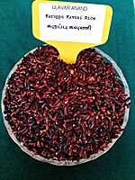 KARUPPU KAVUNI RICE (கருப்புகவுனி அரிசி) 500G