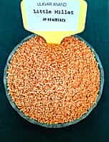 SAMAI LITTLE MILLET 1KG (சாமை | 1 Kg)