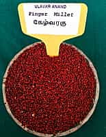 RAGI 1KG (ராகி | கேழ்வரகு | 1 Kg)