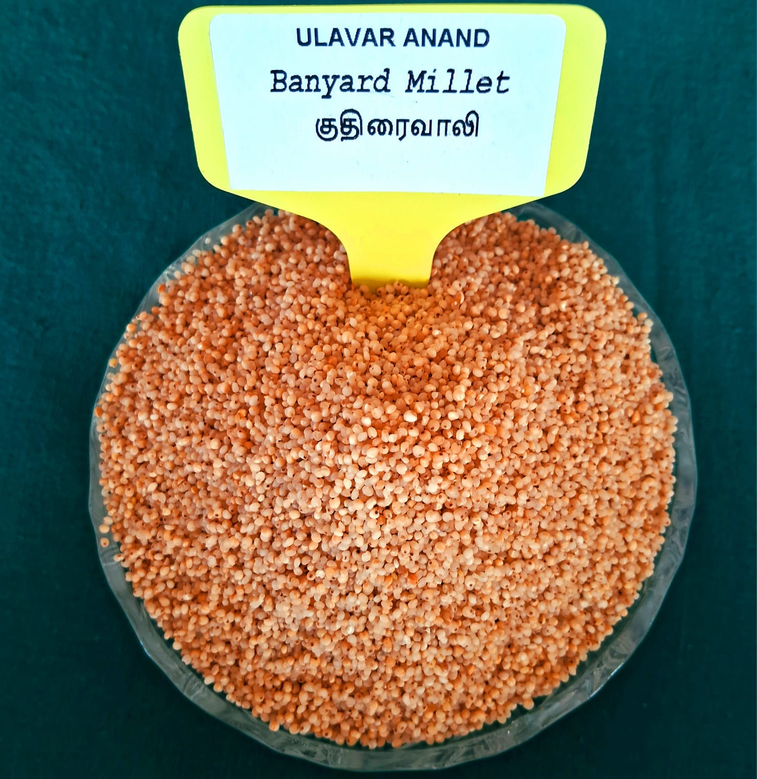 KUTHIRAIVAALI BANYARD 1KG (குதிரைவாலி | 1 Kg)