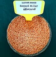KUTHIRAIVAALI BANYARD 1KG (குதிரைவாலி | 1 Kg)