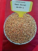 PEARL  KAMBU 1KG   ( குண்டு கம்பு | 1 Kg)