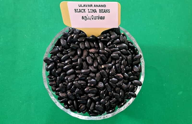 கருப்பு மொச்சை 250 கிராம்|Black lima beans