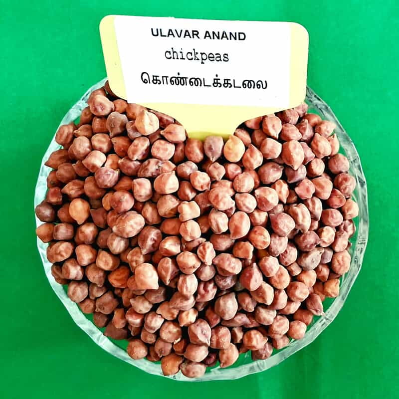 கொண்டைக்கடலை 250 கிராம்|chickpeas