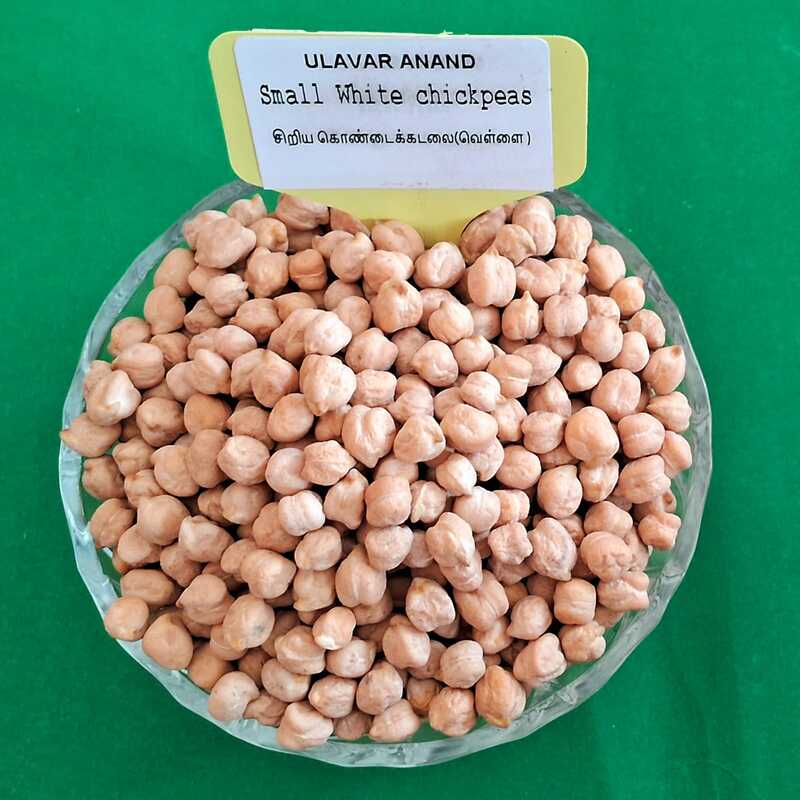 சிறிய கொண்டைக்கடலை(வெள்ளை ) 250 கிராம்|Small  White chickpeas