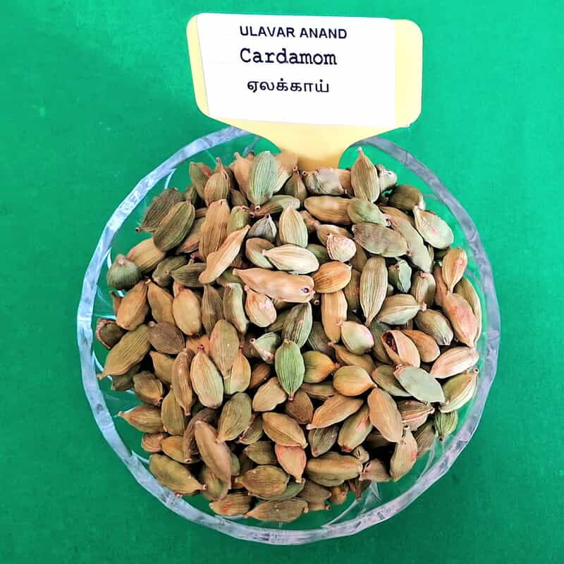 Cardamom 25 GRAM | ஏலக்காய் 25 கிராம்