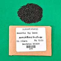 ARAI KEERAI LARGE AMARANTHUS ARITIS (அரை கீரை | BIGGER SIZE)